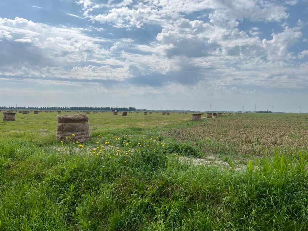 Dronten, landerijen aan de Dronterringweg